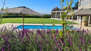 QPave Pool Paving